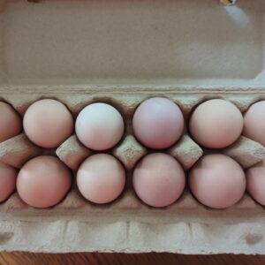 Forest Ranged Chicken Eggs - (1 Dozen)